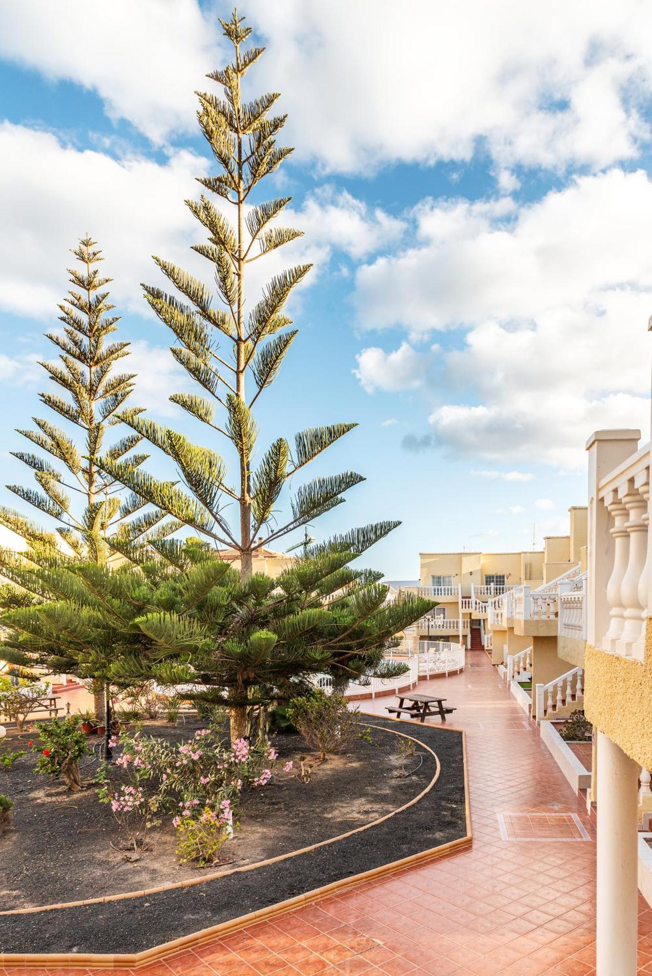Casita Azul Las Arenas كاليتا ذي فوستي المظهر الخارجي الصورة